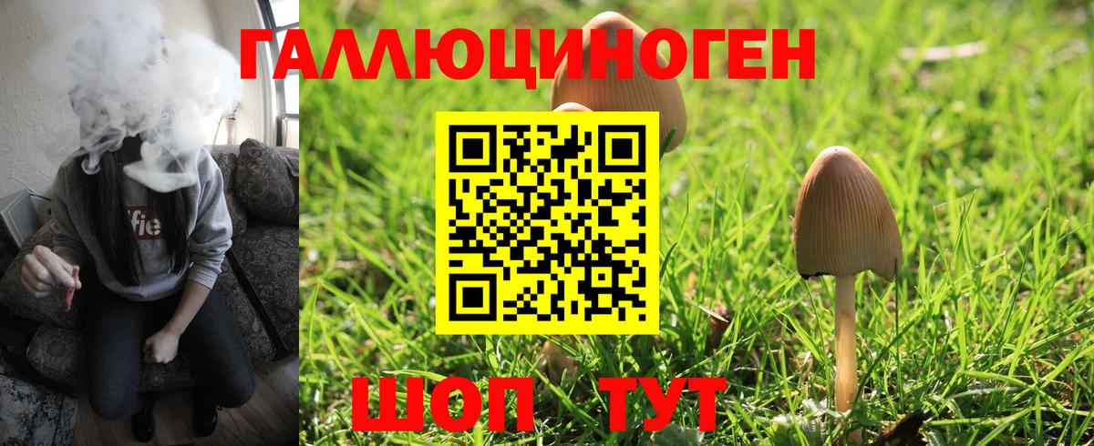 Псилоцибиновые грибы мухоморы Кирово-Чепецк