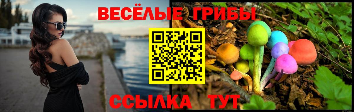 Кирово-Чепецк  купить наркотики сайты  Вход с VPN  Псилоцибиновые грибы мицелий 